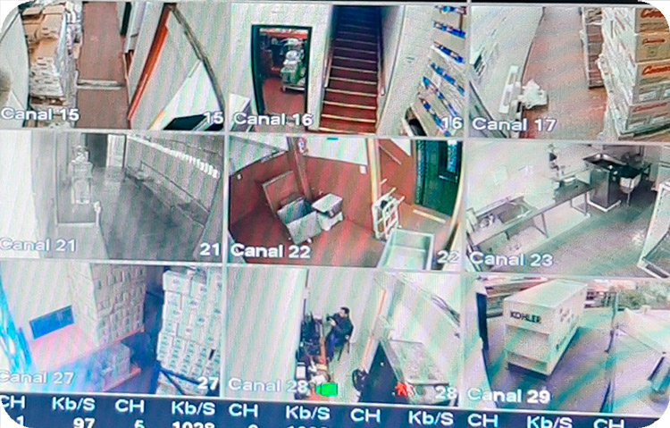 Monitores de seguridad